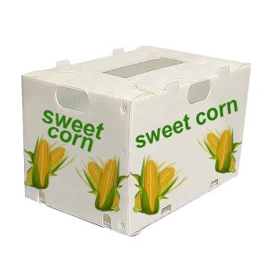 20260513_151514_019 Recycled Material PP Sheet Plastic Box Custom Cutting Vegetables and Fruit Packaging Boxes