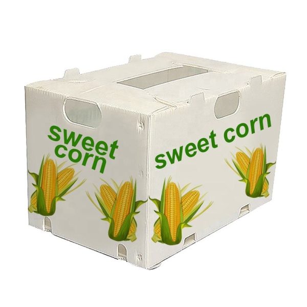 20260513_151514_019 Recycled Material PP Sheet Plastic Box Custom Cutting Vegetables and Fruit Packaging Boxes
