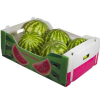 20260513_151514_021 Recycled Material PP Sheet Plastic Box Custom Cutting Vegetables and Fruit Packaging Boxes