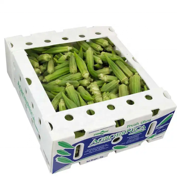 20260513_151514_023 Recyclable PP Hollow Quiabo Okra Packaging Boxes Durable Corrugated Coroplast Plastic Corflute Storage Transport Turnover Box