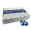 20260513_151514_024 Recyclable PP Hollow Quiabo Okra Packaging Boxes Durable Corrugated Coroplast Plastic Corflute Storage Transport Turnover Box