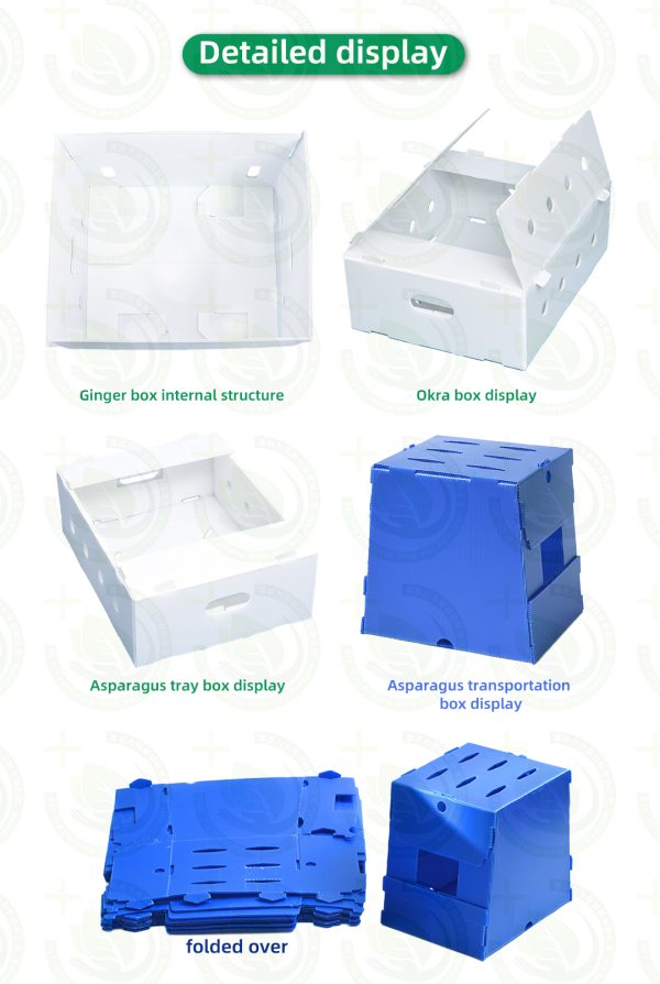 20260513_151514_027 Recycled Material PP Sheet Plastic Box Custom Cutting Vegetables and Fruit Packaging Boxes