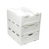 20260513_152908_030 Recyclable PP Hollow Quiabo Okra Packaging Boxes Durable Corrugated Coroplast Plastic Corflute Storage Transport Turnover Box