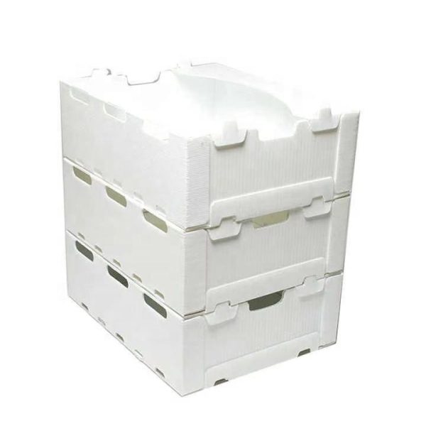 20260513_152908_030 Recyclable PP Hollow Quiabo Okra Packaging Boxes Durable Corrugated Coroplast Plastic Corflute Storage Transport Turnover Box