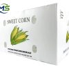 Factory Direct PP Corrugated Produce Box for Fruits and Vegetables, FDA and EU FCM Certified Food Grade Packaging Container