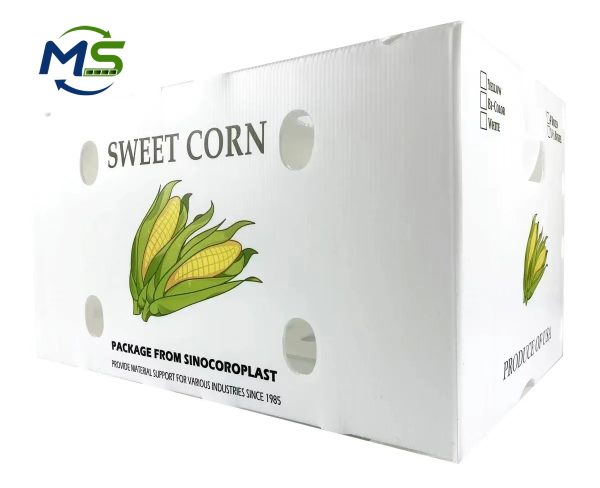 Factory Direct PP Corrugated Produce Box for Fruits and Vegetables, FDA and EU FCM Certified Food Grade Packaging Container