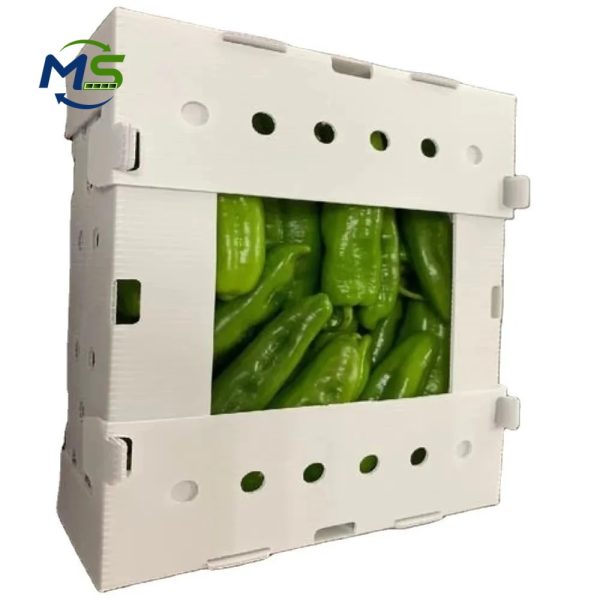 Food Grade PP Hollow Box for Fruit and Vegetable Transport, FDA Approved, EU FCM Compliant Reusable Packaging Crate