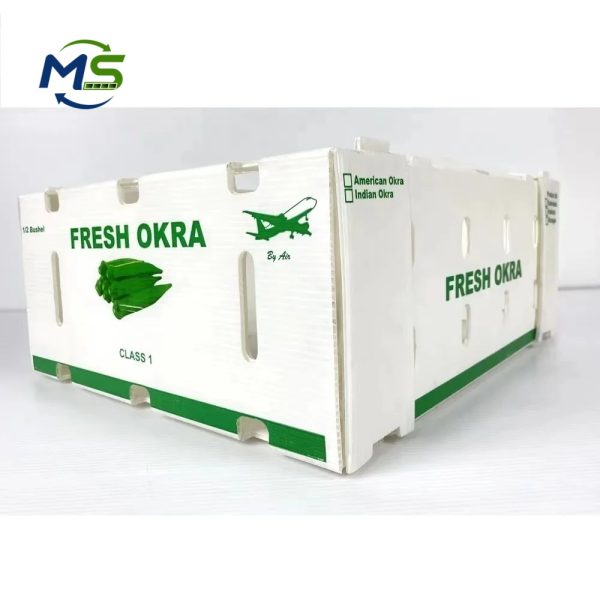 Food Grade PP Hollow Box FDA Compliant EU FCM Approved Fruit and Vegetable Packaging Crate for Logistics