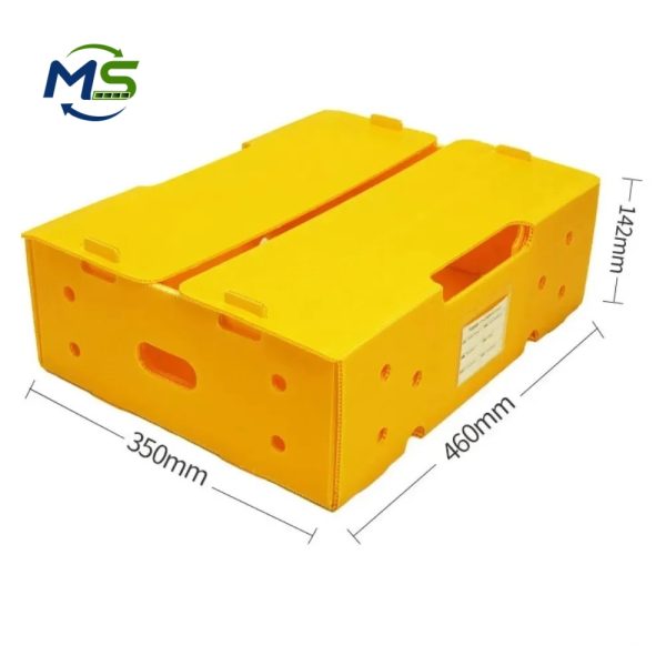 Food Grade PP Hollow Box FDA Compliant EU FCM Approved Fruit and Vegetable Packaging Crate for Logistics