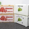 Food Grade PP Hollow Box FDA Compliant EU FCM Approved Fruit and Vegetable Packaging Crate for Logistics