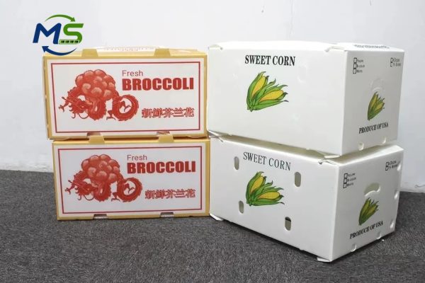 Food Grade PP Hollow Box FDA Compliant EU FCM Approved Fruit and Vegetable Packaging Crate for Logistics
