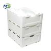 Custom PP Corrugated Produce Box FDA EU FCM Certified Reusable Plastic Box for Fruits and Vegetables Storage