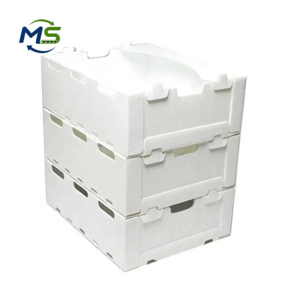 Custom PP Corrugated Produce Box FDA EU FCM Certified Reusable Plastic Box for Fruits and Vegetables Storage