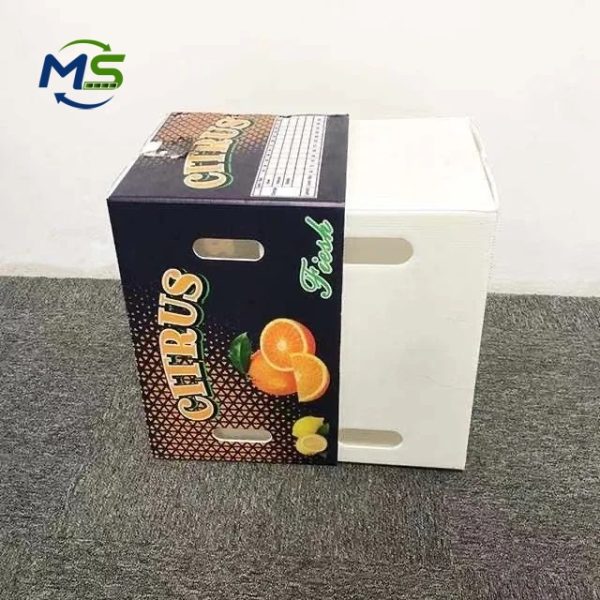 Custom PP Corrugated Produce Box FDA EU FCM Certified Reusable Plastic Box for Fruits and Vegetables Storage