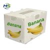 Custom PP Corrugated Produce Box FDA EU FCM Certified Reusable Plastic Box for Fruits and Vegetables Storage