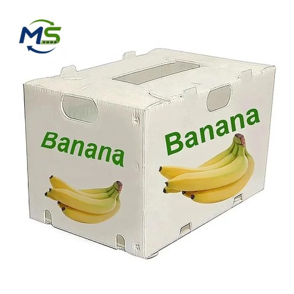 Custom PP Corrugated Produce Box FDA EU FCM Certified Reusable Plastic Box for Fruits and Vegetables Storage