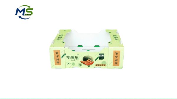 Industrial PP Hollow Board Box for Fruits Vegetables FDA Compliant EU FCM Food Contact Packaging Container