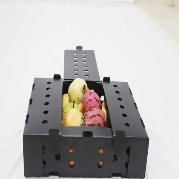 Factory Direct PP Corrugated Produce Box for Fruits and Vegetables, FDA and EU FCM Certified Food Grade Packaging Container