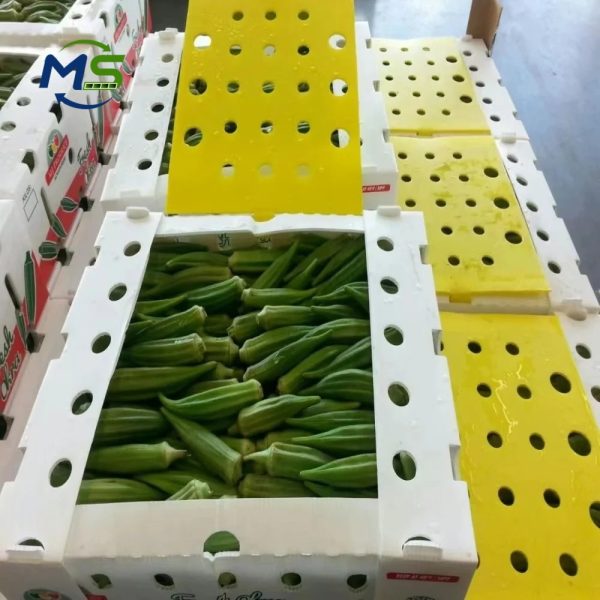 Industrial PP Hollow Board Box for Fruits Vegetables FDA Compliant EU FCM Food Contact Packaging Container