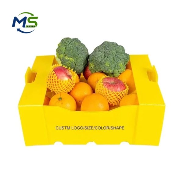 Factory Direct PP Corrugated Produce Box for Fruits and Vegetables, FDA and EU FCM Certified Food Grade Packaging Container