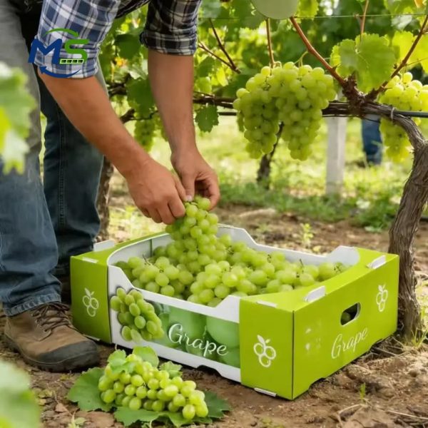 Food Grade PP Hollow Box for Fruit and Vegetable Transport, FDA Approved, EU FCM Compliant Reusable Packaging Crate