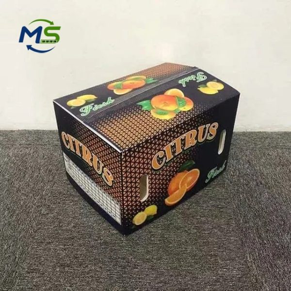 Food Grade PP Hollow Box for Fruit and Vegetable Transport, FDA Approved, EU FCM Compliant Reusable Packaging Crate