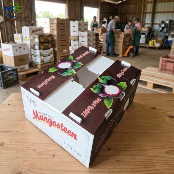 Food Grade PP Hollow Box FDA Compliant EU FCM Approved Fruit and Vegetable Packaging Crate for Logistics