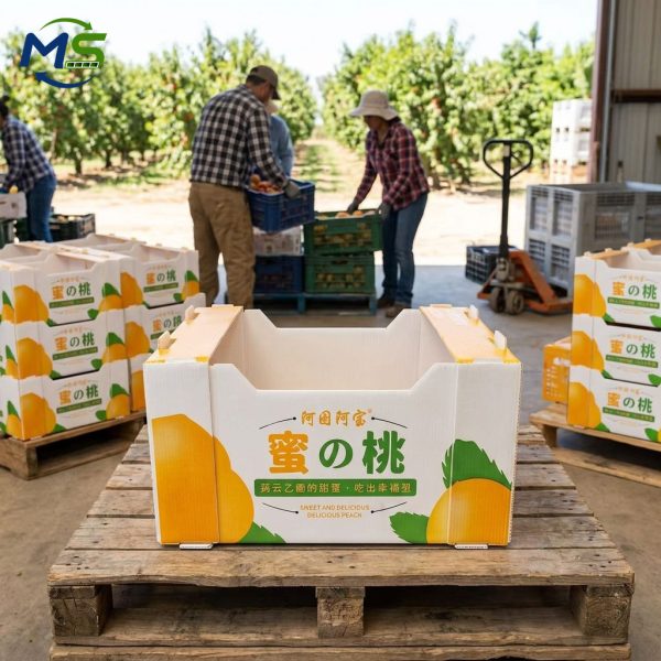 Heavy Duty PP Hollow Plastic Box for Fruit and Vegetable Logistics, FDA Certified EU FCM Compliant Stackable Storage Crate