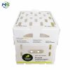 Food Grade PP Hollow Box FDA Compliant EU FCM Approved Fruit and Vegetable Packaging Crate for Logistics