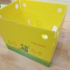 Food Grade PP Hollow Box FDA Compliant EU FCM Approved Fruit and Vegetable Packaging Crate for Logistics