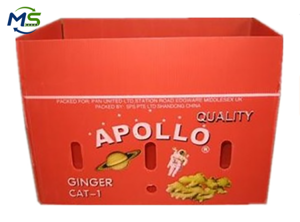 FDA & EU FCM Certified PP Corrugated Plastic Box for Fruits and Vegetables Food Grade Packaging Container