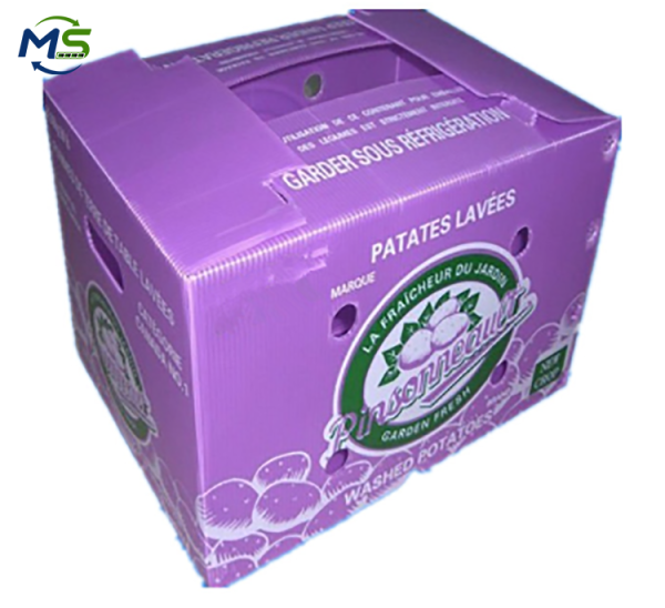 FDA & EU FCM Certified PP Corrugated Plastic Box for Fruits and Vegetables Food Grade Packaging Container