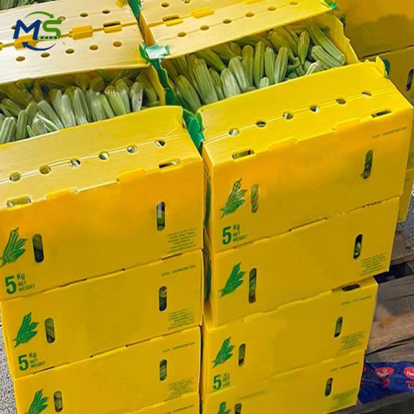 Factory Direct PP Corrugated Produce Box for Fruits and Vegetables, FDA and EU FCM Certified Food Grade Packaging Container