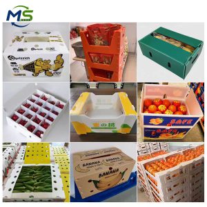 Fruit turnover box (3) Food Grade PP Hollow Box for Fruit and Vegetable Transport, FDA Approved, EU FCM Compliant Reusable Packaging Crate