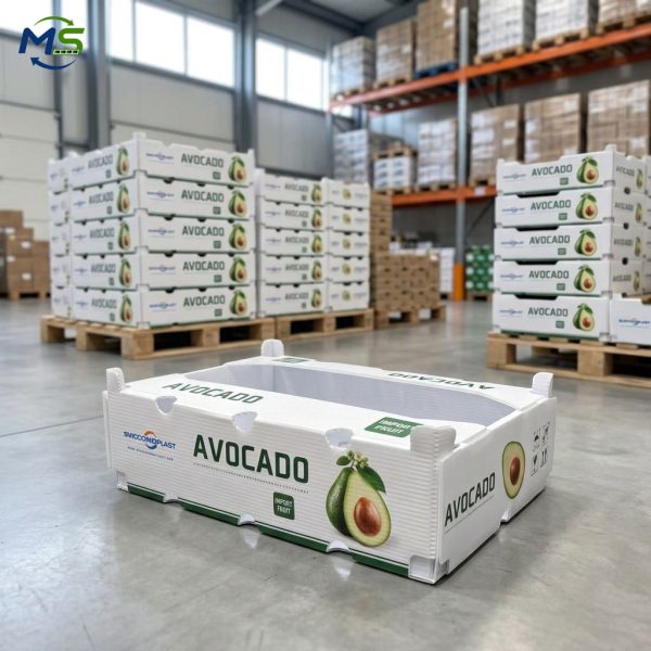 Custom PP Corrugated Plastic Box for Fresh Produce Packaging, FDA & FCM Certified Waterproof Storage Box for Fruits and Vegetables