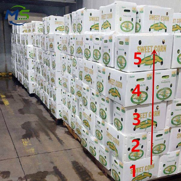 Custom PP Corrugated Plastic Box for Fresh Produce Packaging, FDA & FCM Certified Waterproof Storage Box for Fruits and Vegetables
