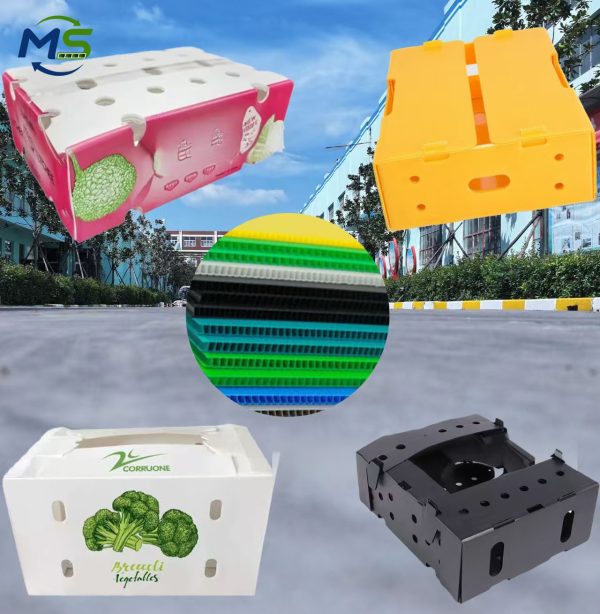Industrial Food Grade PP Hollow Board Box for Agricultural Products, FDA / EU FCM Certified Reusable Fruit and Vegetable Container