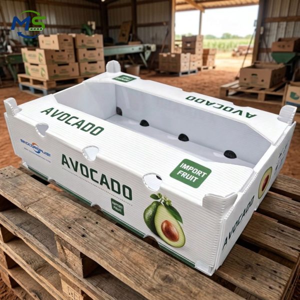 Eco-Friendly PP Corrugated Produce Turnover Box for Fruits and Vegetables, FDA & FCM Approved Food Safe Packaging Solution