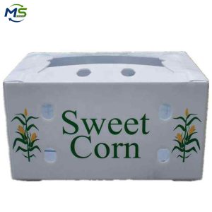 Fruit turnover box (6) Industrial Food Grade PP Hollow Board Box for Agricultural Products, FDA / EU FCM Certified Reusable Fruit and Vegetable Container