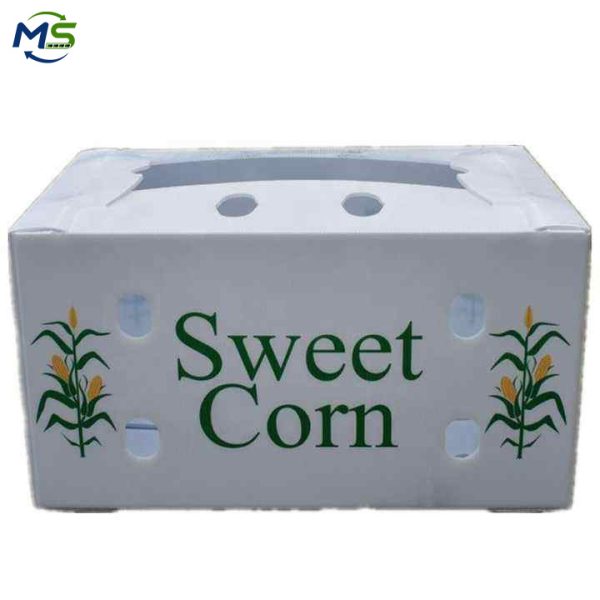 Eco-Friendly PP Corrugated Produce Turnover Box for Fruits and Vegetables, FDA & FCM Approved Food Safe Packaging Solution