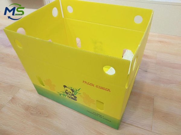 Food Grade PP Hollow Box FDA Compliant EU FCM Approved Fruit and Vegetable Packaging Crate for Logistics