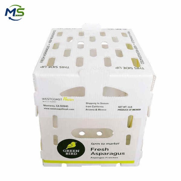Food Grade PP Hollow Box FDA Compliant EU FCM Approved Fruit and Vegetable Packaging Crate for Logistics