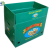 Heavy Duty PP Hollow Plastic Box for Fruit and Vegetable Logistics, FDA Certified EU FCM Compliant Stackable Storage Crate