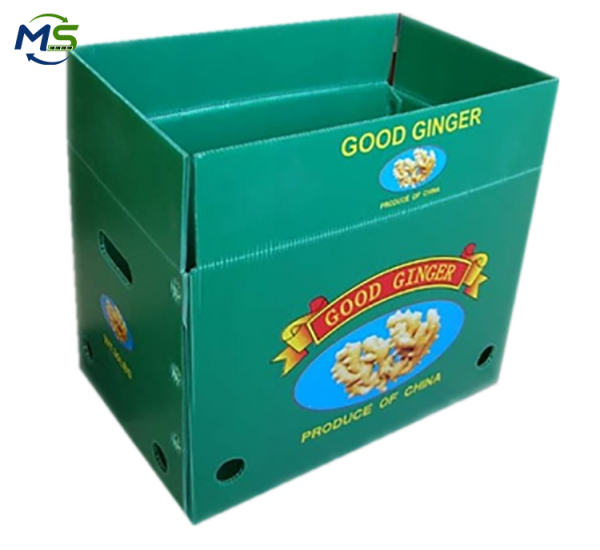 Heavy Duty PP Hollow Plastic Box for Fruit and Vegetable Logistics, FDA Certified EU FCM Compliant Stackable Storage Crate