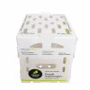 Eco-Friendly PP Hollow Corrugated Plastic Boxes for Vegetable & Fruit Packaging and Storage