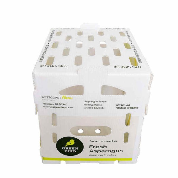 Eco-Friendly PP Hollow Corrugated Plastic Boxes for Vegetable & Fruit Packaging and Storage