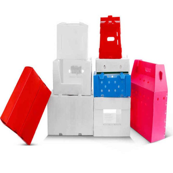Eco-Friendly PP Hollow Corrugated Plastic Boxes for Vegetable & Fruit Packaging and Storage