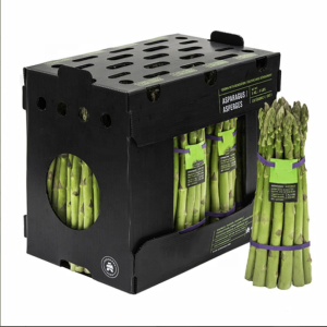 Eco-Friendly PP Hollow Corrugated Plastic Boxes for Vegetable & Fruit Packaging and Storage