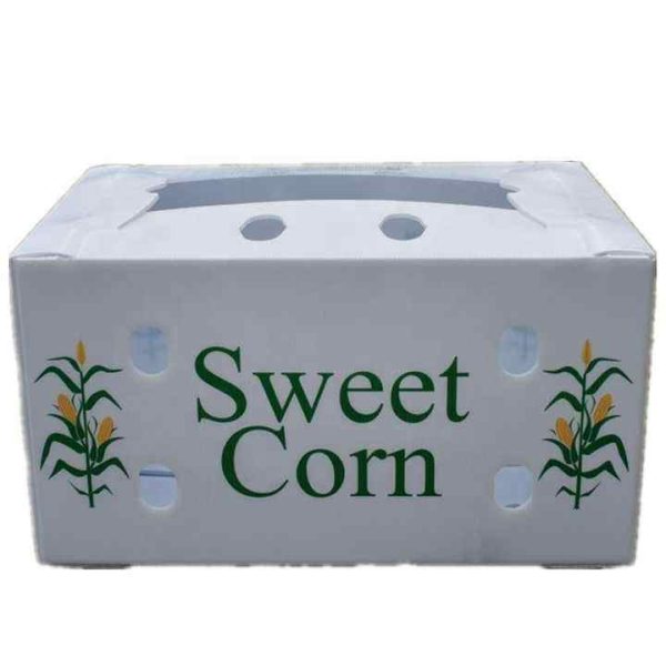 Eco-Friendly PP Hollow Corrugated Plastic Boxes for Vegetable & Fruit Packaging and Storage