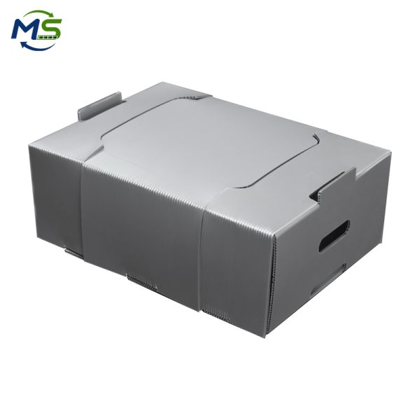 1 FCM Food Grade PP Corrugated Fruit Container High Toughness for Tropical Fruit Export Packaging